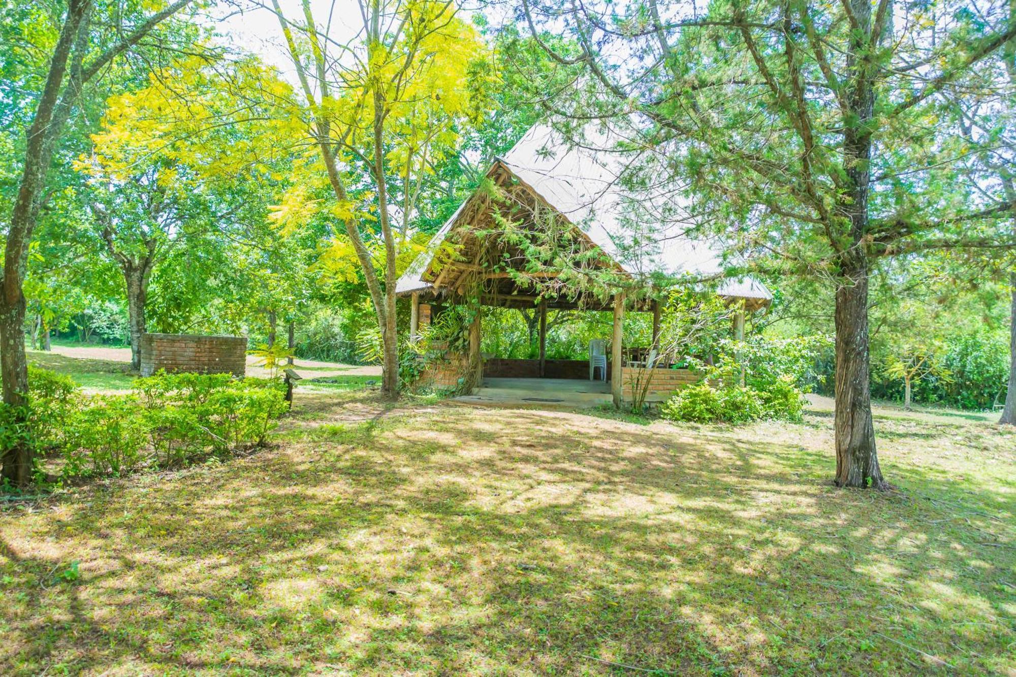 Meru Mbega Lodge Usa River Екстер'єр фото