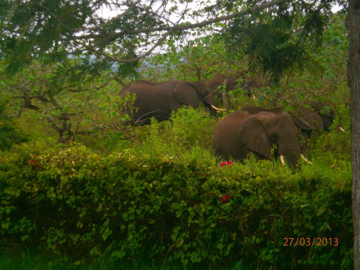 Meru Mbega Lodge Usa River Екстер'єр фото