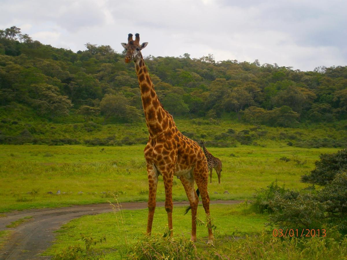 Meru Mbega Lodge Usa River Екстер'єр фото