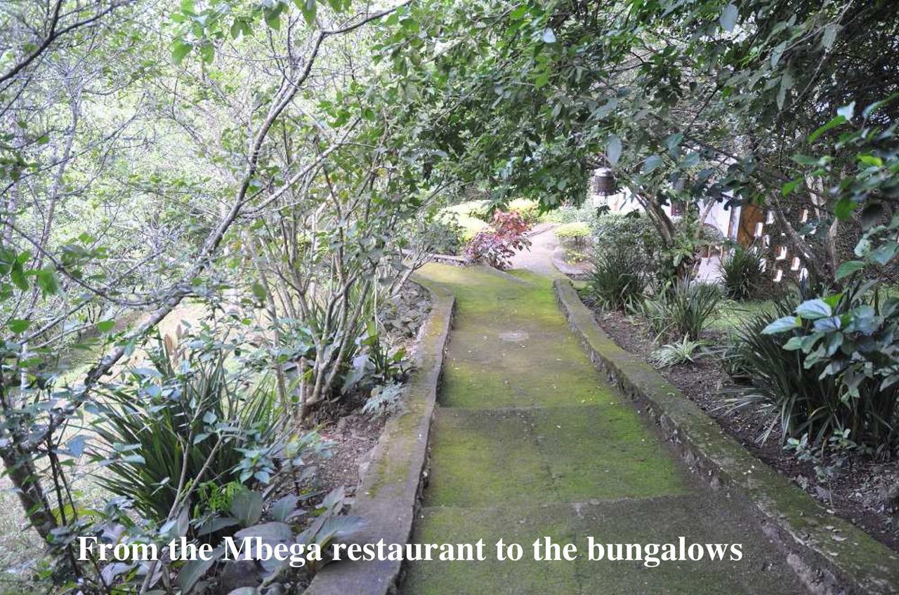 Meru Mbega Lodge Usa River Екстер'єр фото
